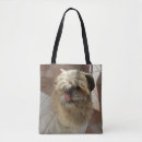 Recherche de de tzu de shih sacs Chiot