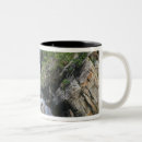 Recherche de adams tasses Rocher