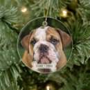 Recherche de bouledogue anglais ornements Animaux