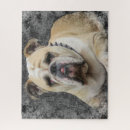 Recherche de bulldog puzzles Pet
