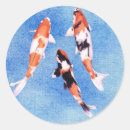 Recherche de carpe koi autocollants Nature