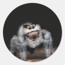 Recherche de sautant autocollants Mignon