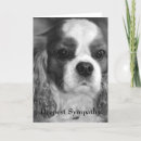 Recherche de sympathie photographie Image