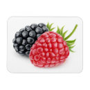 Recherche de mûre magnets Framboise