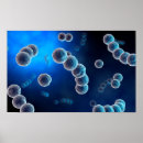 Recherche de microscopique posters La science