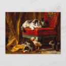 Recherche de chat sur une chaise cartes postales Mignon