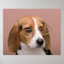 Recherche de humour animal posters Partie du corps animal