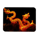 Recherche de chine magnets Dragon