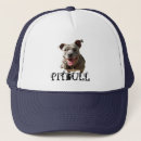 Recherche de pitbull casquettes Taureau