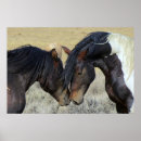 Recherche de wild horse posters Horses