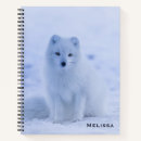 Recherche de cute fox Nature