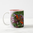 Recherche de de papillon café tasses Violet