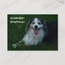 Recherche de le berger australien cartes visite Éleveur