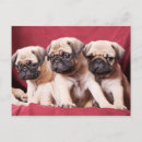 Recherche de triplets posters Chiot