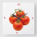 Recherche de mûres horloges Tomates