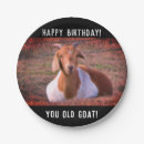 Recherche de de chèvre assiettes Animaux