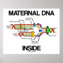 Recherche de biologie moléculaire posters Génétique