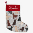 Recherche de labrador chaussette de noël Motif
