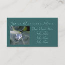 Recherche de gouttes de pluie cartes visite Photographie