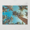Recherche de vintage bora bora cartes postales Vacances