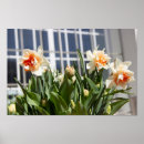 Recherche de conception mignonne posters Photographie