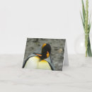 Recherche de pingouin roi vœux cartes Pingouins