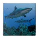 Recherche de cuba carreaux Superstock