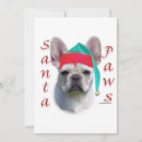Recherche de chien taureau vœux cartes Dog