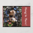 Recherche de opossum cartes postales Vacances