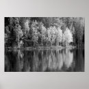 Recherche de tresses posters Noir