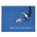 Recherche de oiseau calendriers Nature