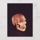 Recherche de homo sapiens cartes postales Primitif