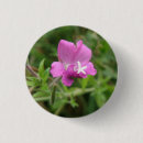 Recherche de fleur rouge badges Beau