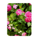 Recherche de doubles magnets Fleur