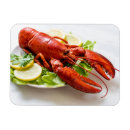 Recherche de vous êtes mon homard magnets Cuisine