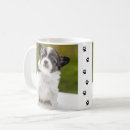 Recherche de chiots tasses Animaux mignons