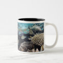 Recherche de multi coloré tasses Climat tropical