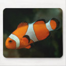 Recherche de clown tapis souris Ordinateur