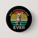 Recherche de chihuahua badges Dog