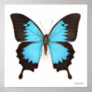 Recherche de smithsonien posters Nature