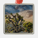 Recherche de mort ornements Californie