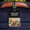 Recherche de bébé bagages étiquettes Mignonne