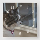 Recherche de femme chat horloges Félin