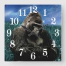 Recherche de gorrila horloges Animal