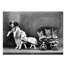 Recherche de photos vintages de chien posters Chiot