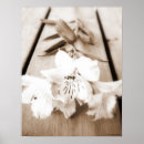 Recherche de vintage botanical posters Botany
