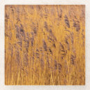 Recherche de habitat dessous de verres Nature