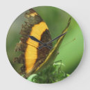 Recherche de papillon jaune horloges Noir