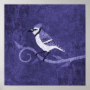 Recherche de corvids posters Oiseaux