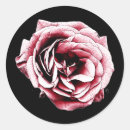Recherche de rosebud autocollants Rouge